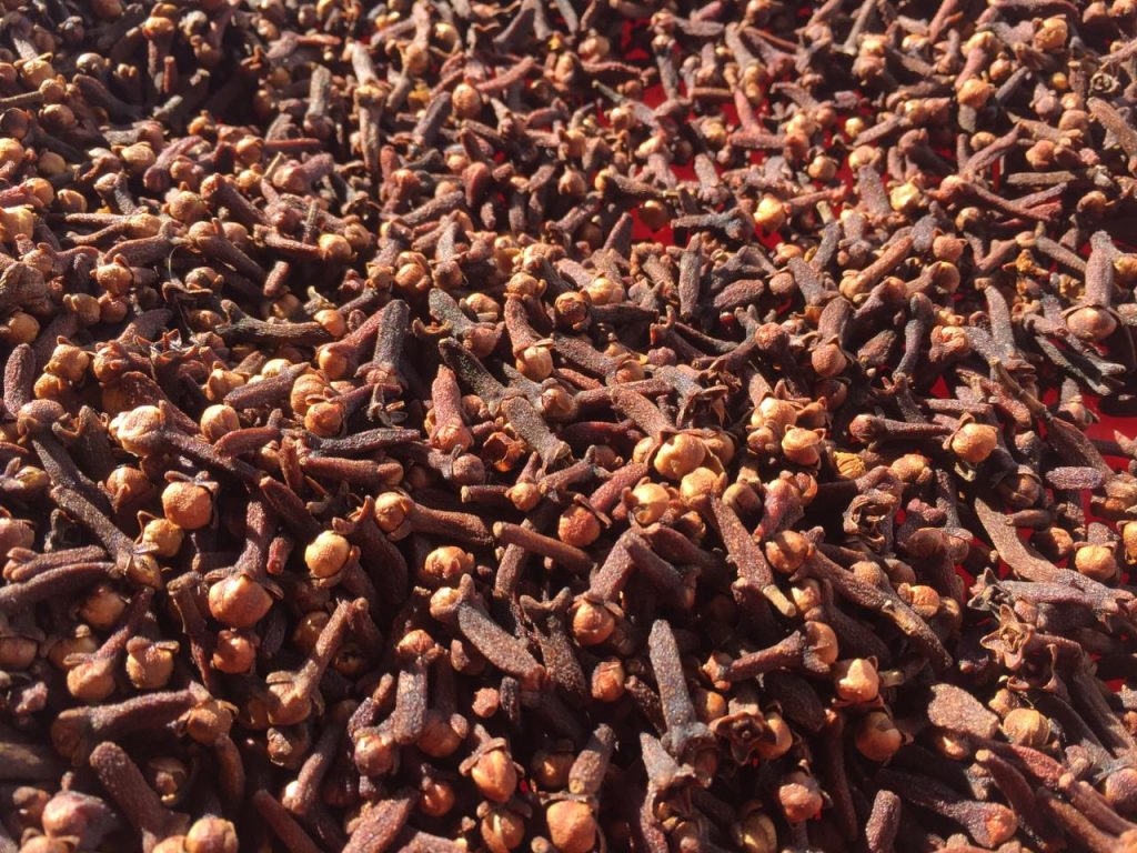 Clove-1-2-1024x768