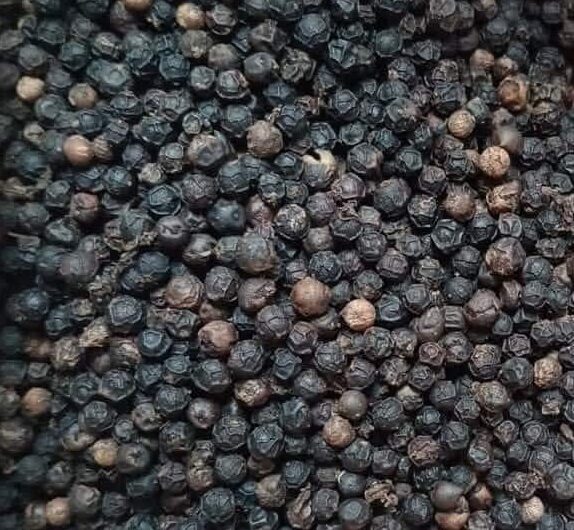 FB_IMG_1735676409137[1]