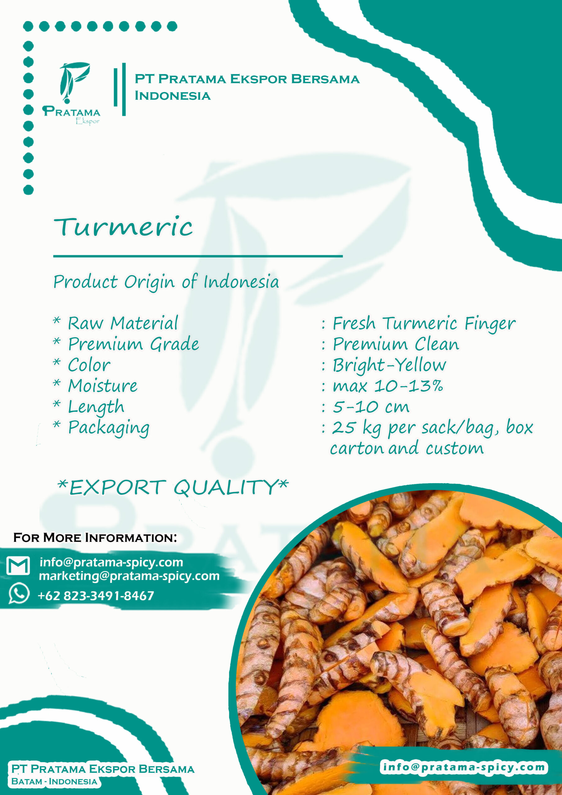 Design Poster Rempah Kunyit