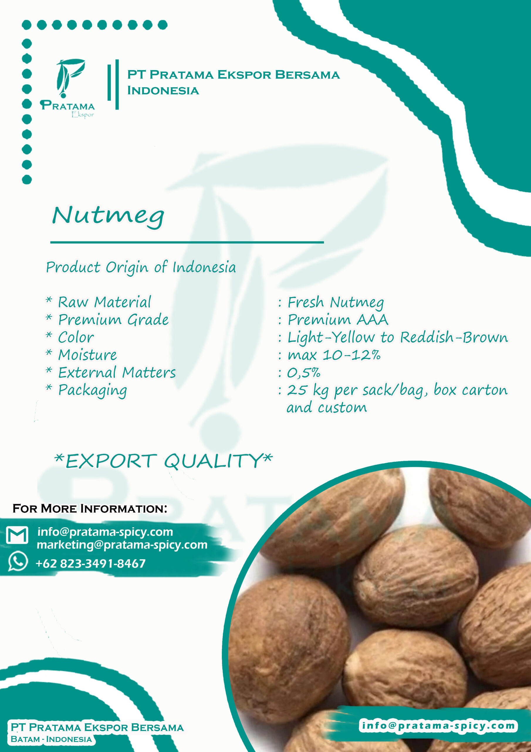 Design Poster Rempah Pala