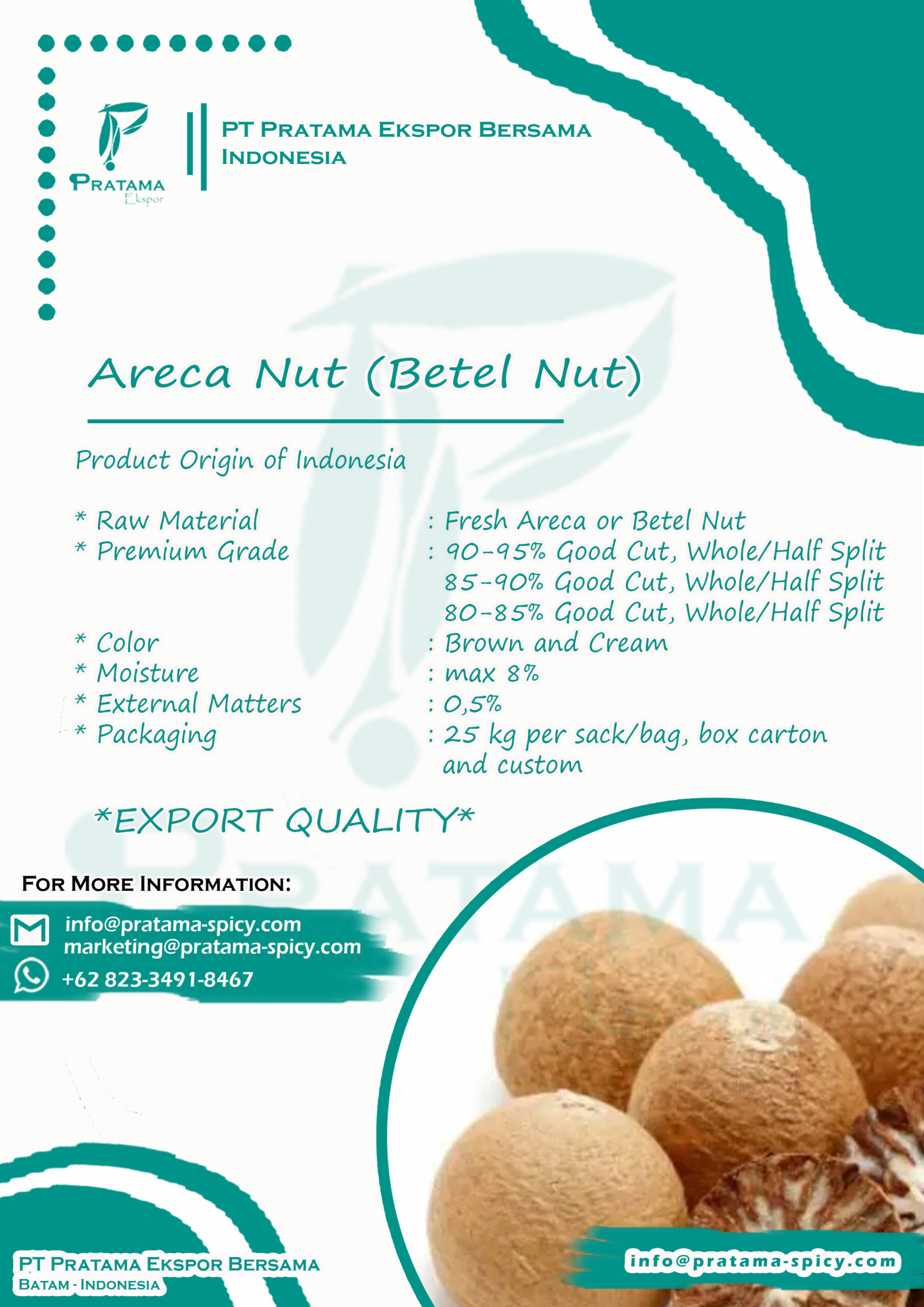 Design Poster Rempah Pinang